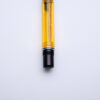 Delta - Windows Demonstrator Summer - Collectiblepens - fountain pen & more