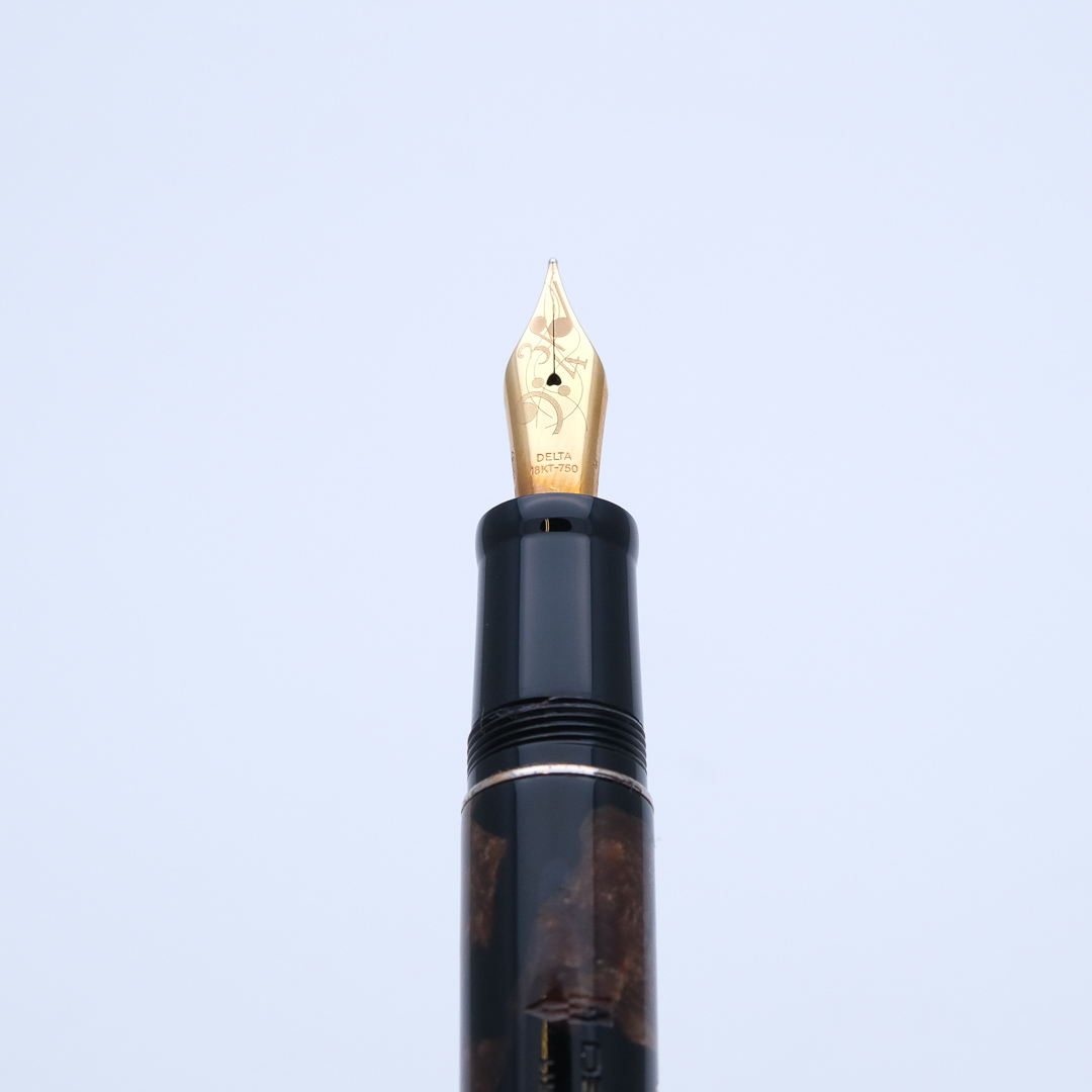DE0078 - Delta - Caruso Special Limited Edition #144-873 - Collectible fountain pens & more-1-3