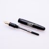 OT0036 - Danitrio - Carpa Raden - Collectible pens - fountain pen & More