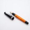DE0070 - Delta - Fusion - Collectible fountain pens & more -1-3